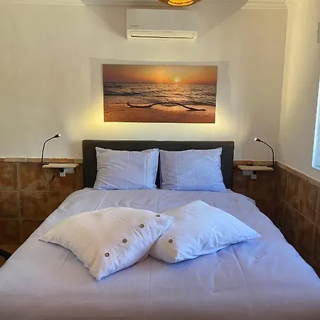 Casa Azul Bed & Breakfast Crevillente