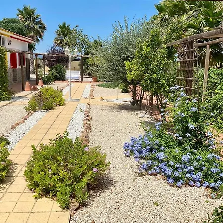 Frühstückspension Casa Azul Crevillente