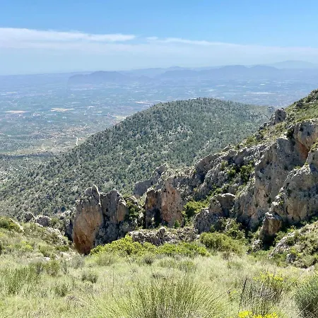 Frühstückspension Casa Azul Crevillente