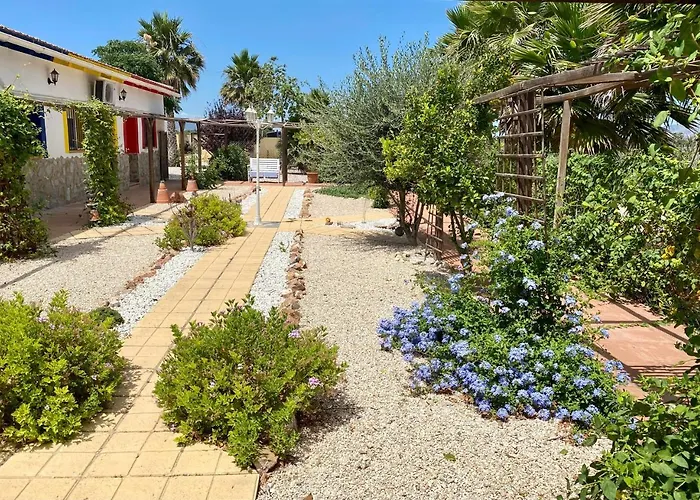 Oda ve Kahvaltı Casa Azul Crevillente